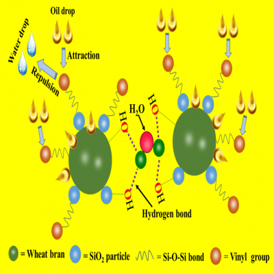 瑞麗新材完成品牌升級